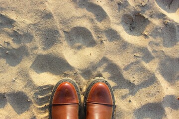 Fototapeta premium Female or male feet in shoes close-up and standing on the sand, top view. around yellow sand on the beach. brown leather boots with patent toe and black sole. place for text. to walk on the beach