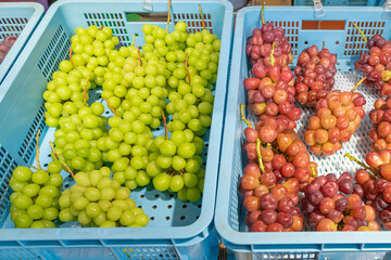 山梨県勝沼　収穫直後のぶどう販売所
