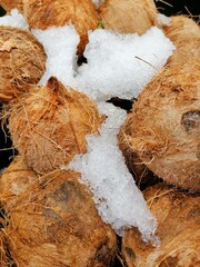 Cocos fríos agua de coco fría