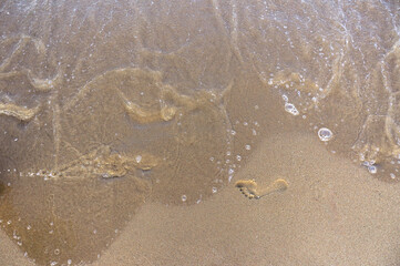 Sea surf, waves rolls on a sandy beach