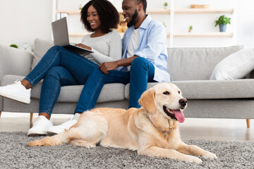 Black couple at home using pc laptop relaxing with dog