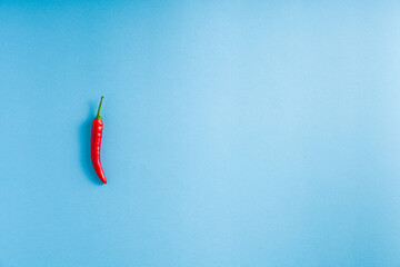 Single Red Hot Chilli Pepper placed on light blue minimalistic background