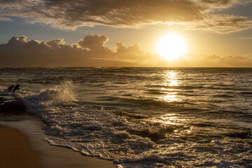 Obraz premium sunset on the beach