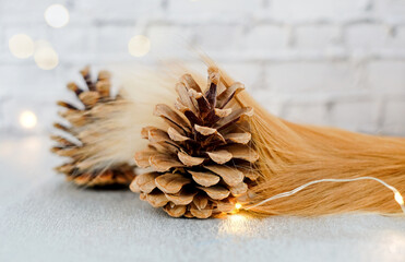 Pine cone and tail of cat with christmas light bokeh background