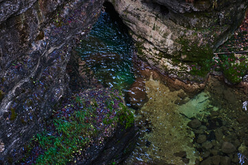 Clean mountain river in the autumn forest.
