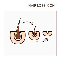 Hair follicle color icon. Causes of hair loss in men and woman. Miniaturized hair follicles, stop growing and fall out. Balding. Alopecia concept. Isolated vector illustration