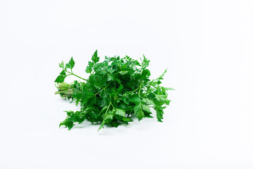 Parsley herb bunch on white background