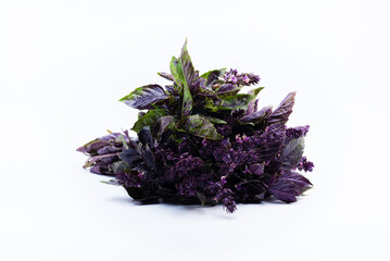 Bunch of Basil Purple leaves isolated on white background. Spice and herbs. Food ingredient
