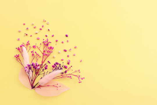 Top view image of pink and purple flowers composition over pastel yellow background .Flat lay