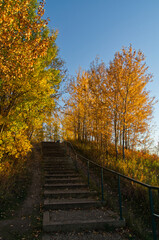 Fototapeta na wymiar A Hiking Path in an Autumn Forest
