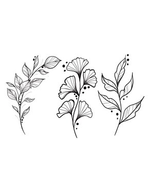 set of plant tattoo designs . Hand drawn illustration of leaves. logo, card, textil design. 
