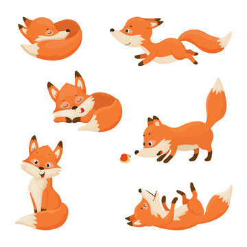 Collection of cartoon illustrations with fox performing different actions. Colorful cute character.