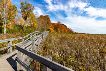 Fall on the Boardwalk