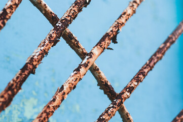 old rusty bars on the windows, bars on the window close-up. intrusion protection system