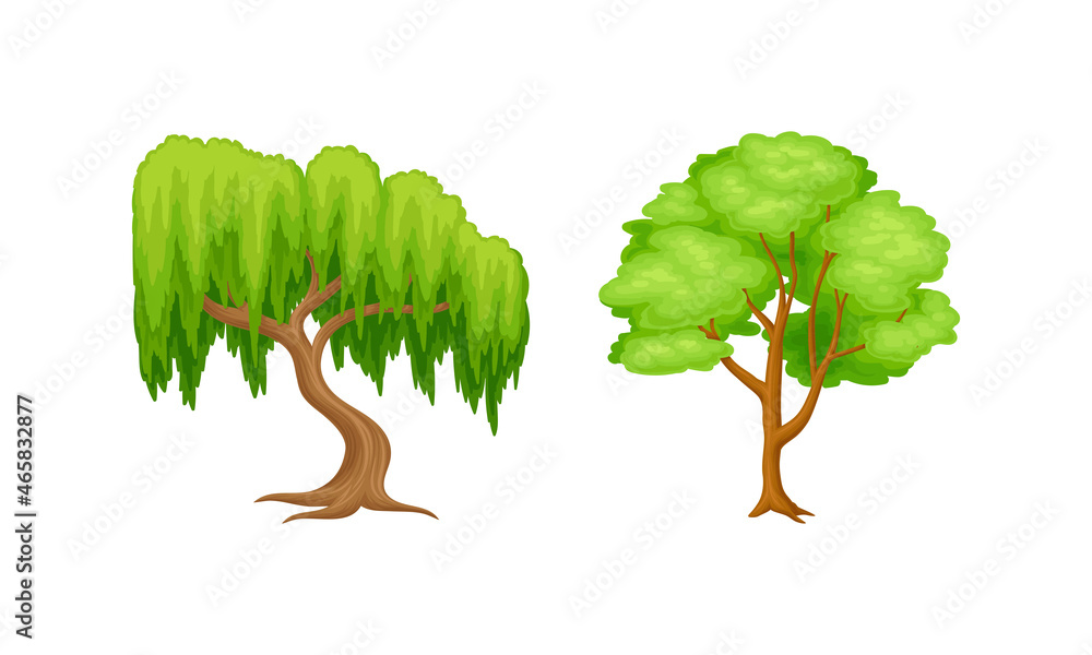 Poster tree with exuberant green foliage and trunk vector set