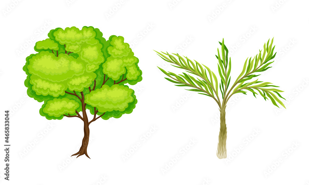 Poster tree with exuberant green foliage and trunk vector set