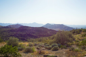 Desert Mountains