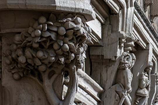 Angers, la maison d&rsquo;Adam, d&eacute;tail de sculpture : l 'arbre de vie.