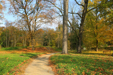 Fototapeta premium walkway in autumn park