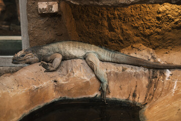 Zoo Wrocław