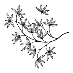 Branch with leaves. Vector stock illustration eps10. Isolate on white background, outline, hand drawing.