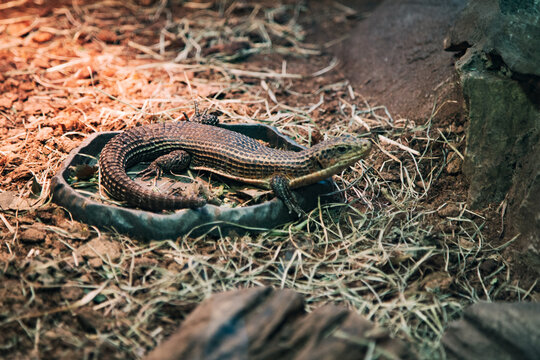 Zoo Wrocław