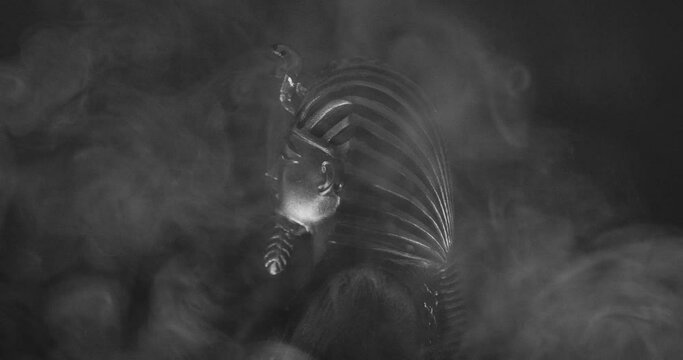 Statue of King Tut in profile with fog and vintage grain effect