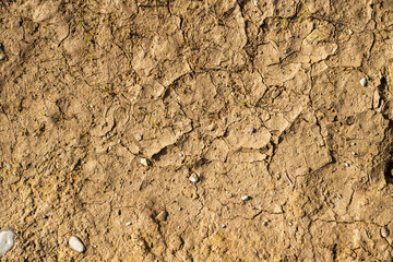 Cracked earth. Dry, cracked ground into the dry season. Dried cracked earth soil ground texture background.