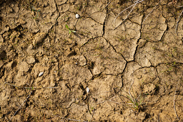 Cracked earth. Dry, cracked ground into the dry season. Dried cracked earth soil ground texture background.