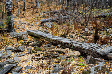 Wooden bridge of boards for passage across the stream. Crossing to the other side. Autumn landscape. Hiking trail through an obstacle.