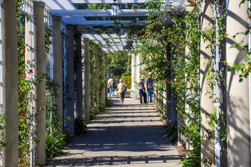 white wooden awning in the garden covered with lush green plants or colorful flowers with stone pillars and people walking on the footpath at Huntington Library and Botanical Garden in California USA