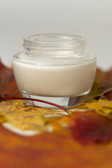Concept of autumn skincare. Closeup of a jar of moisturizer and dry maple leaves. 