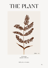 The plant. Autumn flower market poster. Herbarium
