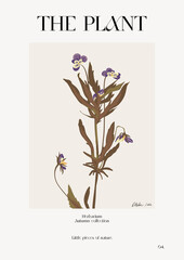 The plant. Autumn flower market poster. Herbarium
