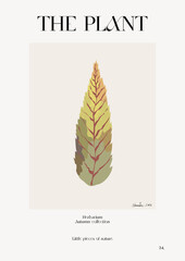 The plant. Autumn flower market poster. Herbarium
