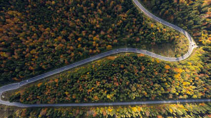 aerial view of cars driving up road through colorful autumn forest.