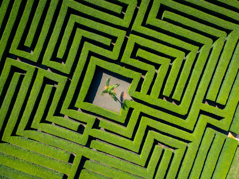 green maze background