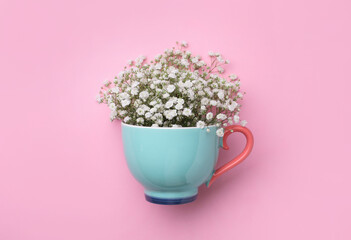 Beautiful gypsophila in cup on pink background, top view