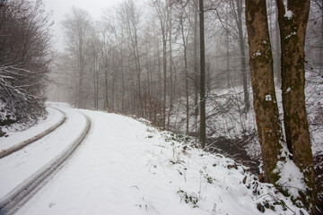 Une route enneigée en forêt dans les Ardennes belges.