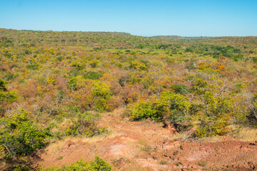 A view of the caatinga landscape in autumn (beginning of the dry season), trees and schrubs losing their leaves - Oeiras, Piaui state, Brazil