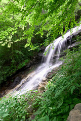 Fototapeta na wymiar Cascade falls (waterfalls) of Gully Creek and Cumberland Knob Trail on the Blue Ridge Parkway in North Carolina. Delightful mountain stream and plants that live along its cool, damp banks. Motion Blur