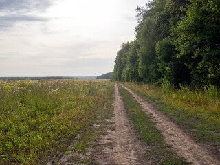 Fototapeta na wymiar dirt road through the field