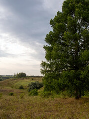 sunset on a clear day over a wooded ravine