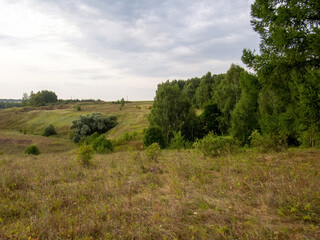 Fototapeta premium sunset on a clear day over a wooded ravine