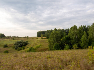 Fototapeta premium sunset on a clear day over a wooded ravine