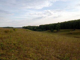 Fototapeta premium sunset on a clear day over a wooded ravine