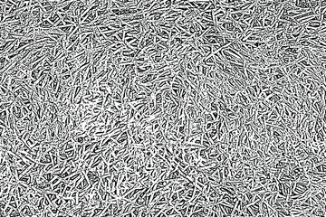 Grunge texture of an organic plant surface. Monochrome mottled background of chaotic interweaving of small fibers and villi close-up, with noise, spots and grain. Overlay template. Vector illustration