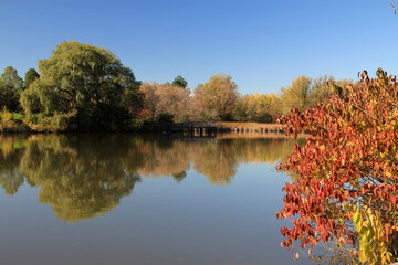 Fall landscape with lake and colorful trees