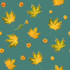 Fototapeta na wymiar Seamless texture from photos of autumn maple leaves