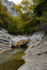 mountain river in the forest